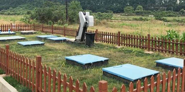 清明已至，達澤環(huán)保呼吁大家：文明祭祀，環(huán)保先行！